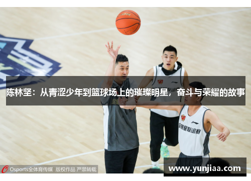 陈林坚：从青涩少年到篮球场上的璀璨明星，奋斗与荣耀的故事