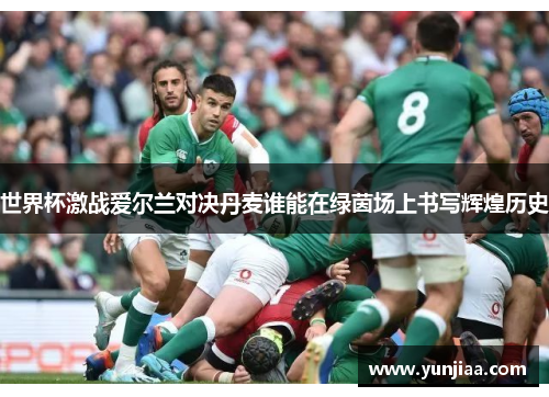 世界杯激战爱尔兰对决丹麦谁能在绿茵场上书写辉煌历史